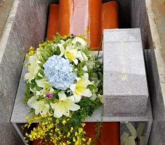 085494D4-749E-42EB-9A43-AAFE827729AC