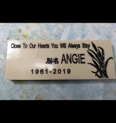 2FF9B170-42E7-4D52-8916-F27BB5BF667A